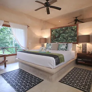  Villa Cachito De Cielo Luxury Jungle Mexique